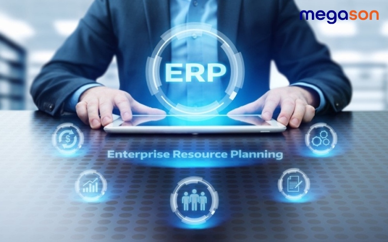 Cấu trúc tiêu chuẩn và phân hệ của ERP