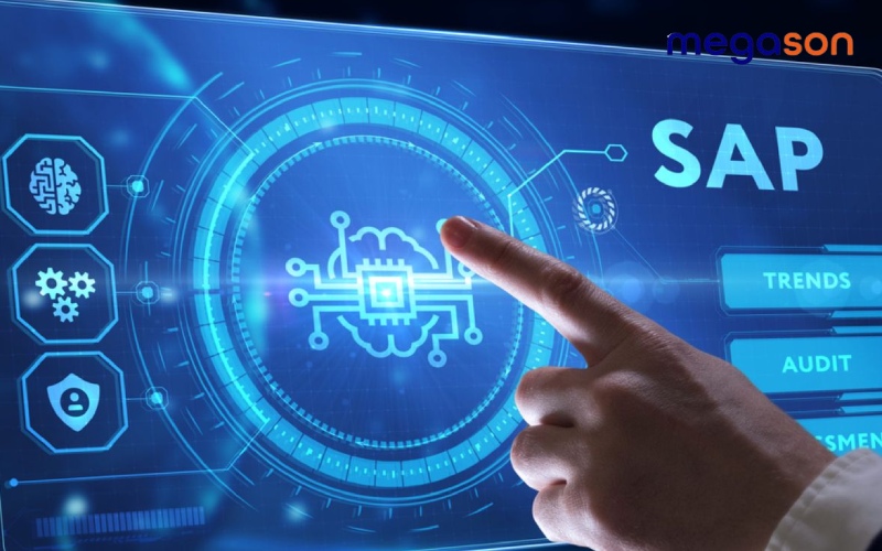 Quản lý tài chính và kế toán trên phần mềm SAP ERP