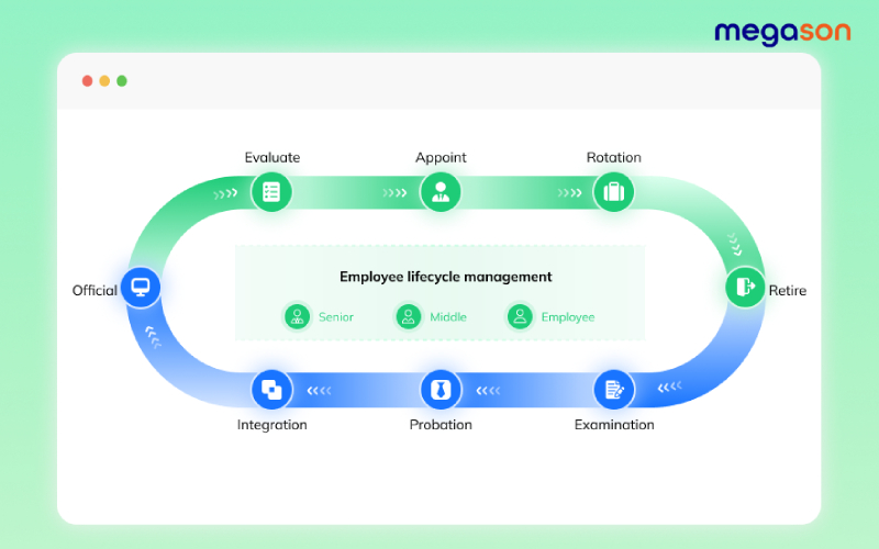 Tanca - phần mềm quản lý nhân sự cho doanh nghiệp nhỏ